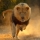 Mufasa