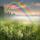 padhakuRainbow