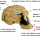 Dr-Homo-HABILIS
