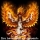 PHOENIXRISESAGAIN