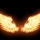 civils_warrior